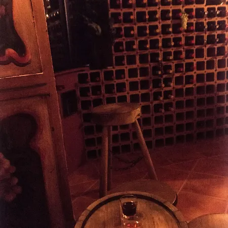 Cal Ganso Encantat Албинана
