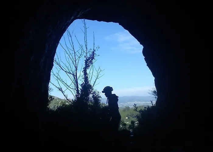 Gospodarstwo wiejskie Cal Ganso Encantat